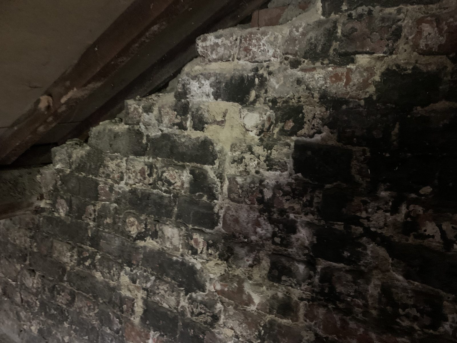 Mur intérieur en briques fortement dégradé par l'humidité — efflorescence et salpêtre visibles
